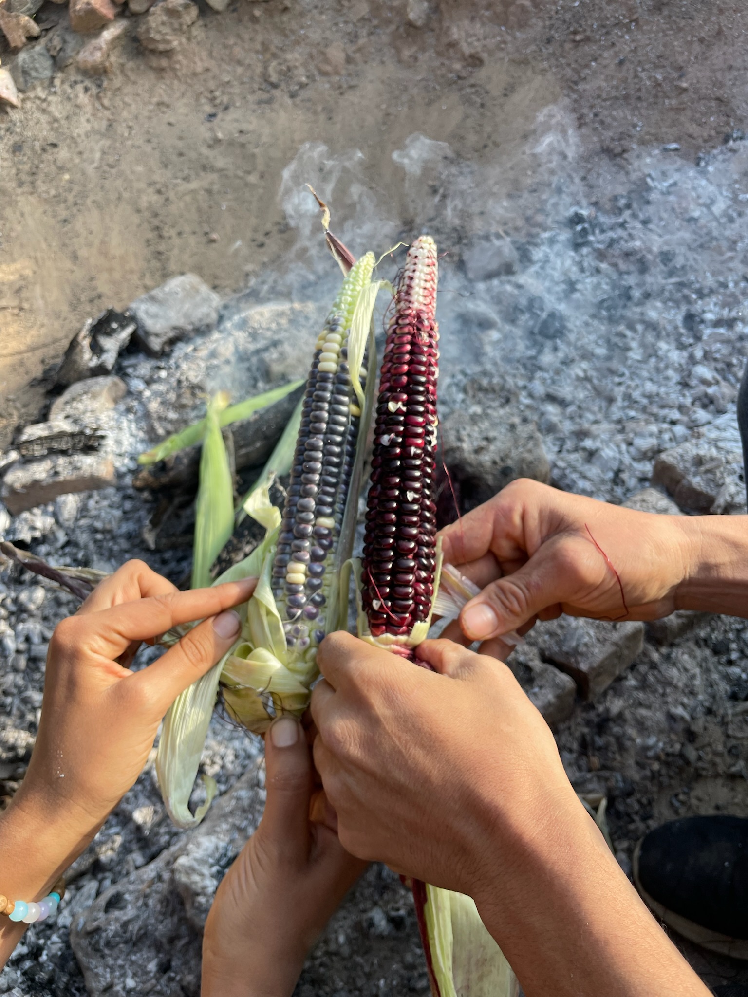 Tradisjonelt farget mais over ild